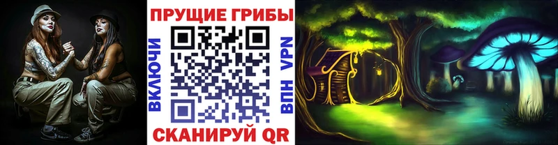 Галлюциногенные грибы Psilocybine cubensis  Купить  Краснозаводск 