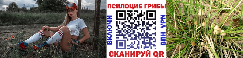 Псилоцибиновые грибы прущие грибы Краснозаводск
